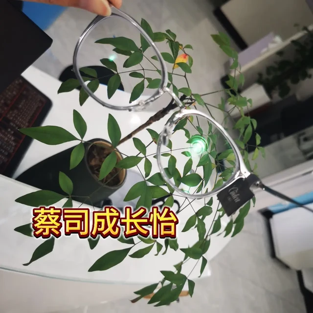 初中娃换镜片!从成长乐到成长怡,熟客依然选蔡司
店里熟客带着上初中的娃来配镜,一开口就说:“这是第三幅蔡司了,之前两副都是成长乐!”
我笑着推荐:“孩子上初中用眼更费,这次试试成长怡吧,比成长乐多