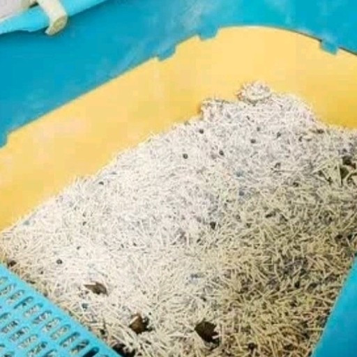 汪野君猫砂盆顶入半封闭猫厕防外溅幼猫成猫猫屎盆猫沙