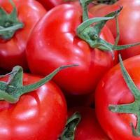 买西红柿，挑5片叶还是6片叶！老菜农：区别很大，别再买错了！