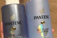 什么洗发水增发又防脱发？育发防脱洗发水哪个牌子好？人气款速看