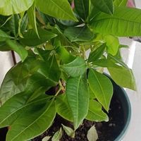 让家居生活变有氧的改造计划