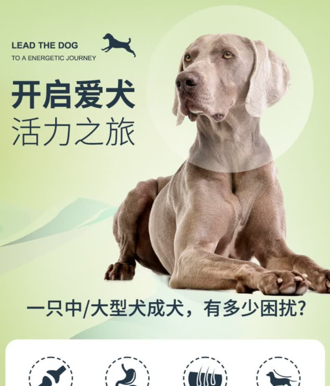 伯纳天纯狗狗干粮