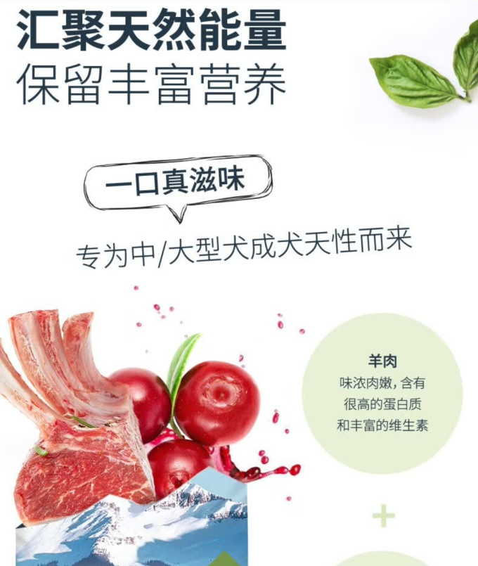 伯纳天纯狗狗干粮