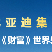 从中国到世界：比亚迪7月领跑全球多国新能源车市