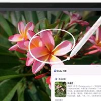 三星S10 FE 2025款平板电脑使用体验：国家补贴下的智享之选
