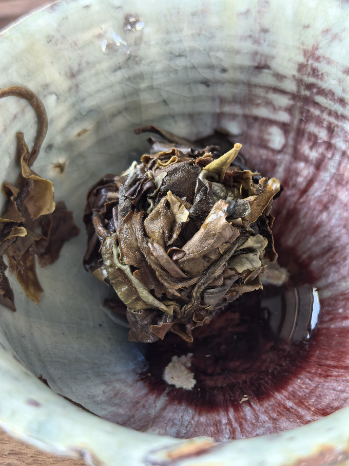 中茶普洱茶