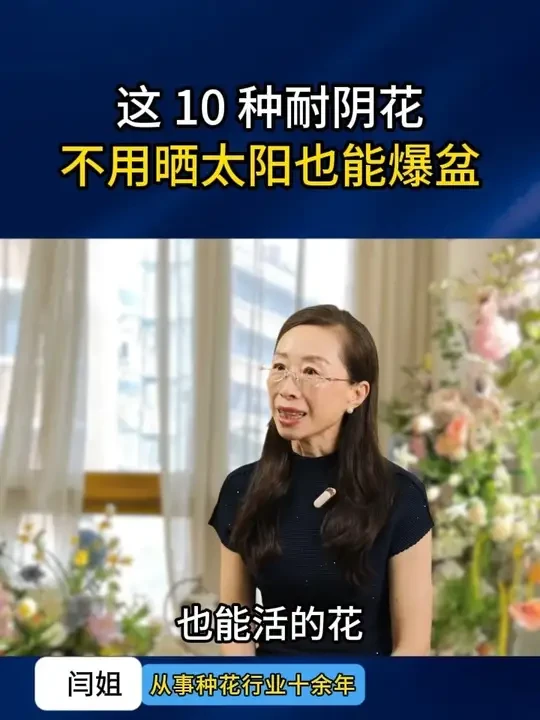 养不死的十种花，不用晒太阳也能开爆盆# 爱生活爱养花 # 养花小知识 # 花卉绿植 # 养花