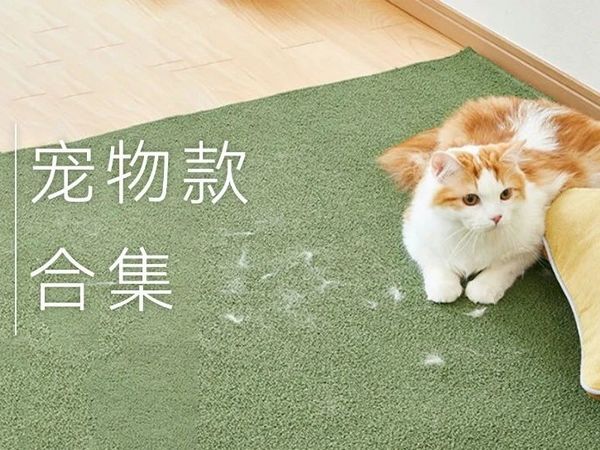 COLOCOLO粘滚大家庭——宠物款合集