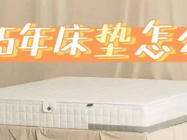 2025年床垫选购指南：怎样才能选到一张舒服的床垫？有没有好用的床垫推荐？附栖作双子星蓝透气护脊床垫深度评测