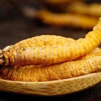 来拉萨，不带这10样算白来，当地文旅说的