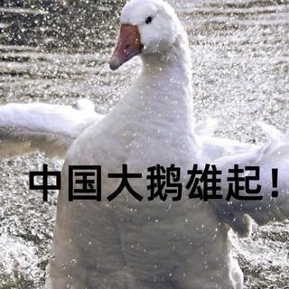突发！加拿大鹅要卖，波司登、安踏成潜在买家