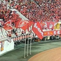 广州龙狮送出崔永熙和焦泊乔的深度剖析