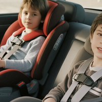 汽车价值竞争新趋势，周边消费场景化升级｜世研消费指数产品榜