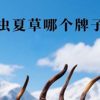 2025年冬虫夏草牌子哪个好？8款优选正品来袭，轻松选对不纠结！