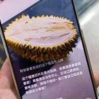 不止会挑西瓜，还会挑榴莲，这小艺看世界也太实用了！