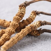 2025冬虫夏草哪个牌子好？精选10款品质优选清单，闭眼入不踩雷！