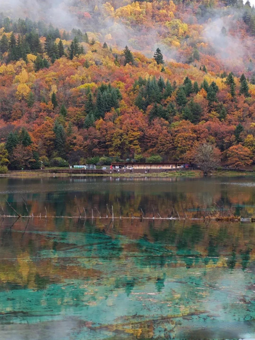 中国秋色秘境指南:从北疆彩林到江南古村,邂逅最生动的季节画卷