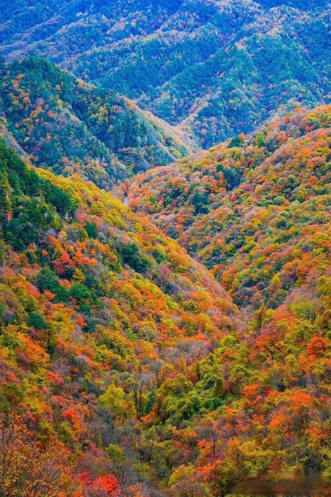 中国秋色秘境指南:从北疆彩林到江南古村,邂逅最生动的季节画卷