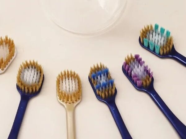 百年匠心惠百施牙刷：成人及儿童牙刷，一般贸易对公专票明细，资质齐全