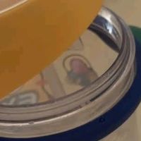 babycare儿童水杯婴儿学饮杯6个月以上宝宝水杯防摔水壶防