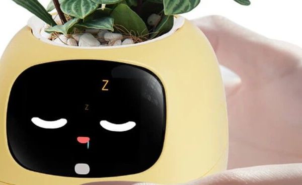299？小米有品众筹智能植物萌宠值得嘛