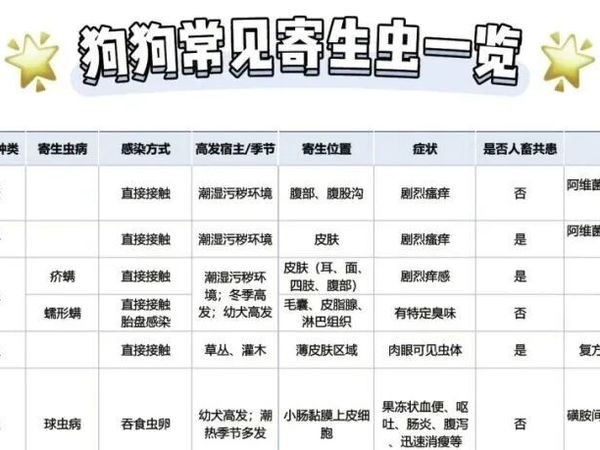 狗狗驱虫怎么做，常见驱虫药总结