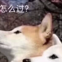 追求舒适感的