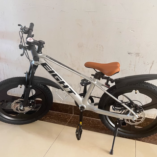🚲儿童自行车天花板 | 小探险家飞驰 350，你冲不冲？