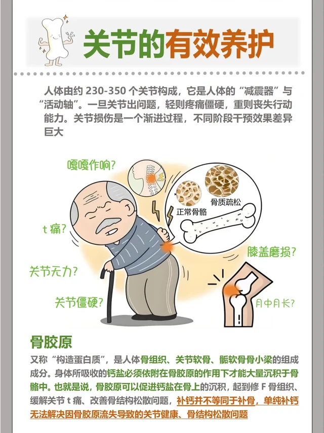 🦴浑身咔咔响❓关节养护怎么做⁉️