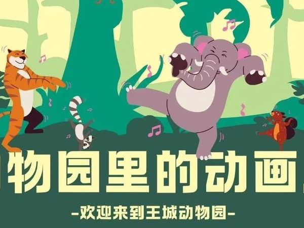 真狮版《狮子王》就在王城动物园！第一视角揭秘荣耀王国