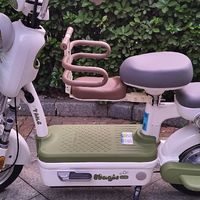 七夕节最实用礼物之台铃电动车