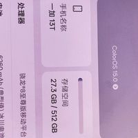 一加13T 16GB+512GB 晨雾灰 旗舰小直屏 骁龙 8 至尊版 