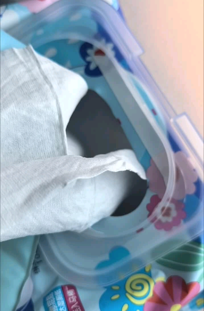 维达湿厕纸