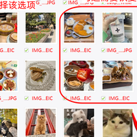 苹果手机相册误删照片如何恢复？5个方案+详细教程！