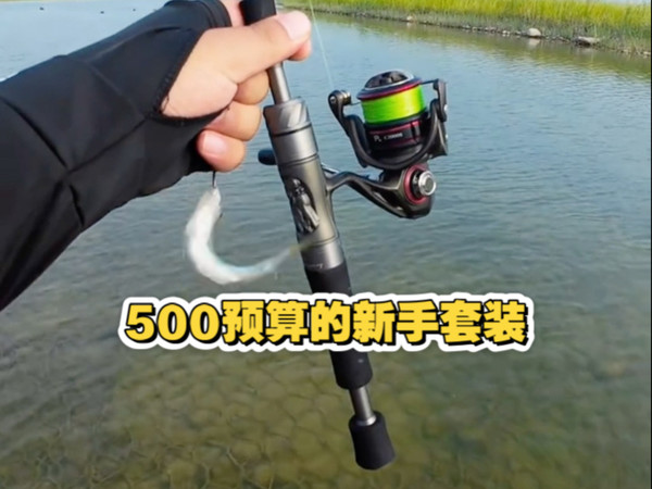 500预算的新手“套装” 新手的第一支路亚竿
