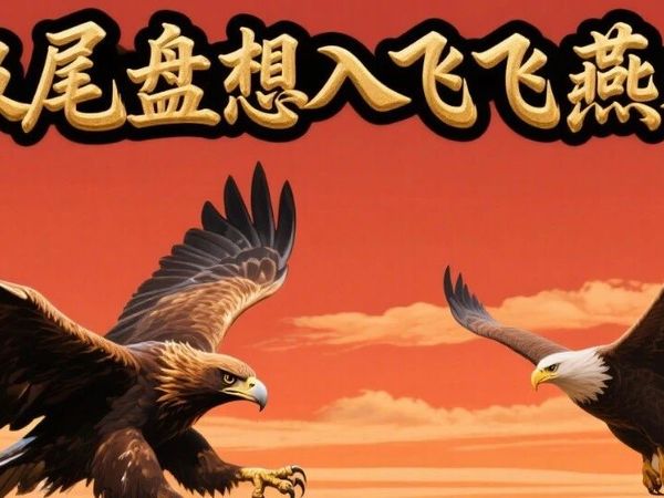 极致尾选【想入飞飞】原（燕双鹰）进化版！冲红率高达95%