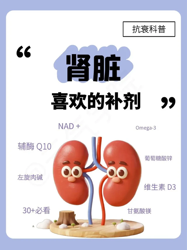 别乱补！30 + 必看，肾脏偏爱 8 种补剂💙