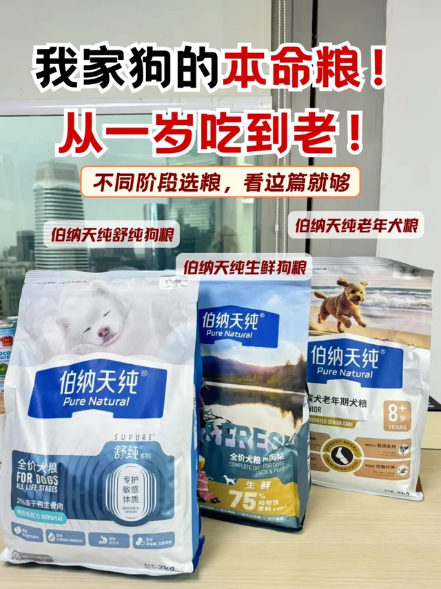 从1岁吃到7岁！我家狗狗的本命粮～