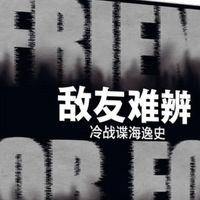 《敌友难辨：冷战谍海逸史》：谍战背后的真实与复杂
