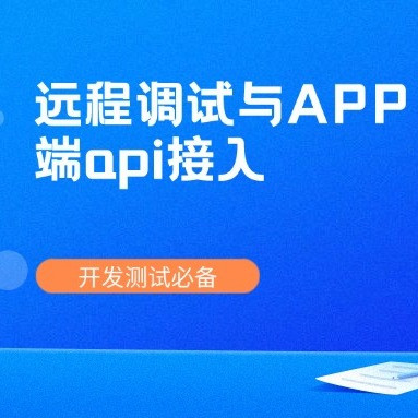 无公网IP，怎么实现远程调试与APP端api 接入？