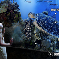 家电选购 篇零：三星超大尺寸家族迎来新成员：115英寸Neo QLED 4K QN90F上市