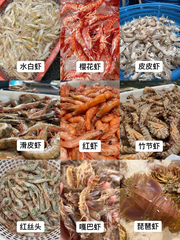 森农乐虾类