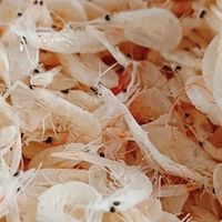 来自海洋的鲜美馈赠，虾皮小小补钙佳品