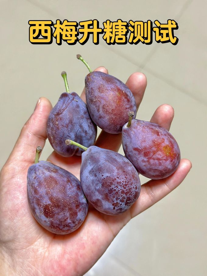 京鲜生其他水果