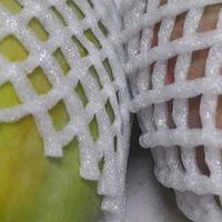 京觅四川攀枝花凯特芒，