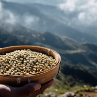 ☕️咖啡豆种植有多讲究？海拔、土壤全影响风味！📚✨