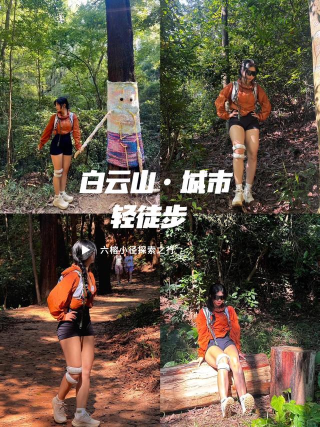 白云山·六榕小径｜跟我一起徒步吧