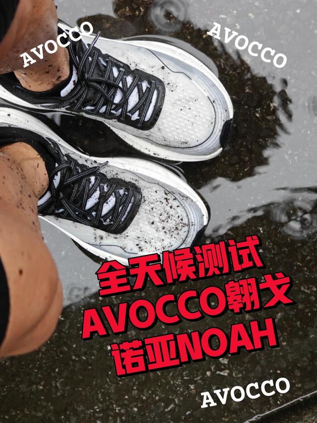 开箱｜AVOCCO(翱戈）诺亚（NOAH）