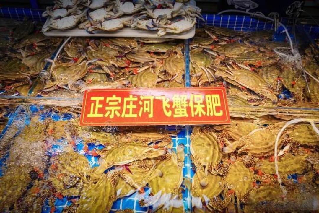 开海季南北渔港寻鲜攻略：青岛防城港必打卡，解锁贝蟹肥美舌尖盛宴