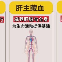 女生必看肝好，全身器官都好！养颜必先养肝！